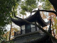 -汇龙潭