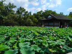 -杭州西湖风景名胜区-北街寻梦