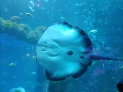 -海合安青岛极地海洋公园