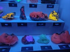 -湖南省地质博物馆