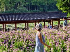 -龙头寺公园
