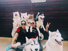 -TrueLove @ Neverland (Husky Cafe)