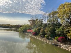 -上海海湾国家森林公园