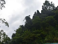 -花岩国家森林公园