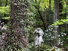 -三千院