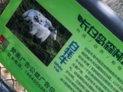 -长白岛森林公园