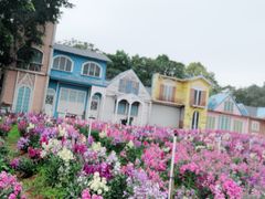 -松山湖南湖湾露营营地