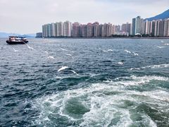 -深圳湾公园(南山区)
