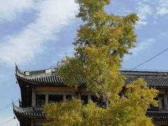 -上海青龙寺