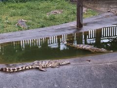 -无锡动物园·太湖欢乐园