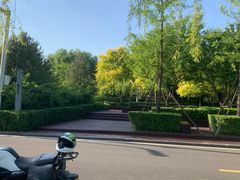 -洨河生态公园