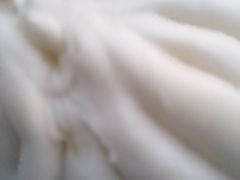 鲜肉大包子-不二心包子铺(二七广场店)