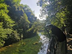 -石台牯牛降景区