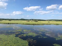 -塞罕坝国家级自然保护区