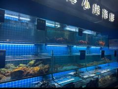 -鸽子侯·家宴·平价海鲜(市图书馆店)