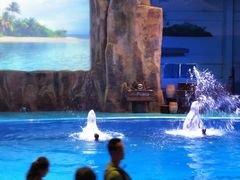 -华夏文旅海洋公园