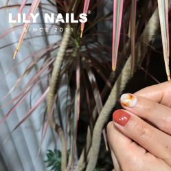 -LILY NAILS美甲美睫