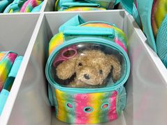 -山姆会员商店(亦庄创意生活广场店)
