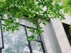 -安徽大学(磬苑校区)
