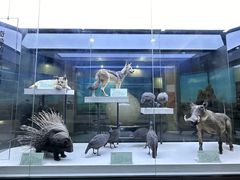 -国家自然博物馆