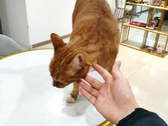 -Best U照相馆证件照·外拍(五角场店)