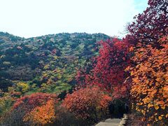 -北京西山国家森林公园