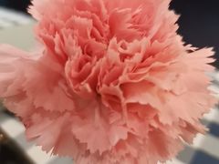 -南京钟山宾馆(江苏省会议中心)