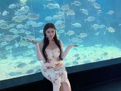 -烟台海昌鲸鲨海洋公园