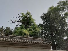 -承恩寺