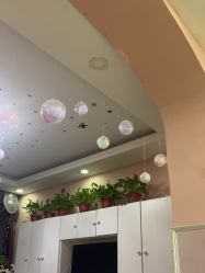 -香薇妮丝·定制减肥·身材管理
