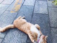 -中华人民共和国水准零点