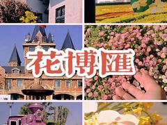 -花博汇(知音花月夜)