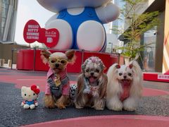 -深圳湾万象城(南山店)