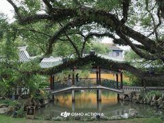 -江心屿景区