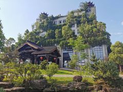 -龙天小镇