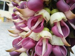 -区海鸡场饭店(石壁店)