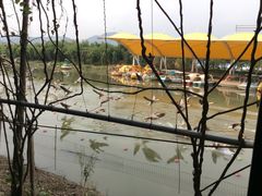 -米果果小镇