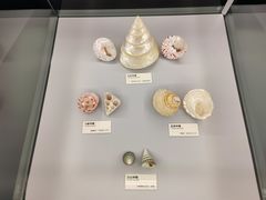 -天津古林古海岸遗迹博物馆