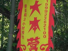 竹筒饭-大本营竹筒饭