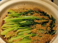 -三强鸽子(中原路店)