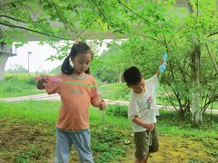 -桤木河湿地公园