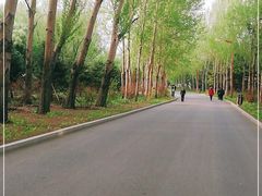 -长春公园(普阳街道)