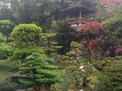 -南山植物园