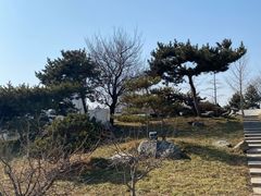 -石家庄市植物园