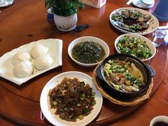 -全乐鱼馆·淳牌有机鱼直营店