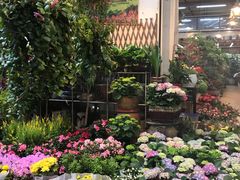 -双季花艺园艺市场(浦东店)