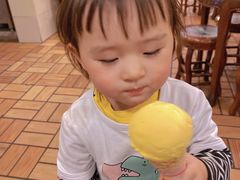 榴莲甜筒-顺记冰室(宝华路店)