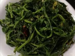 枸杞苗-华宇清真美食