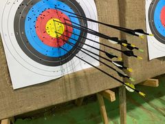 -蓝天射箭馆·专业射箭运动(诚丰广场店)