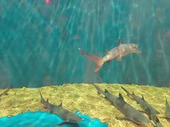 -华夏文旅海洋公园